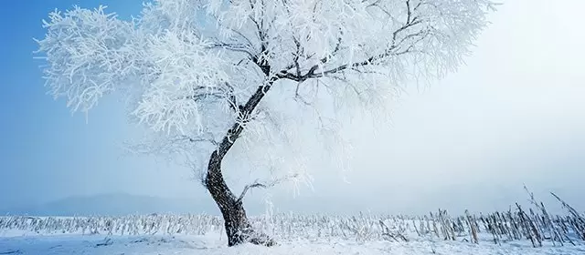 Horoscope du Vendredi 9 Janvier 2026