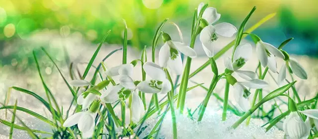 Horoscope du Lundi 12 Janvier 2026