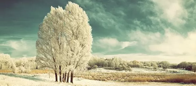 Horoscope du Mercredi 14 Janvier 2026