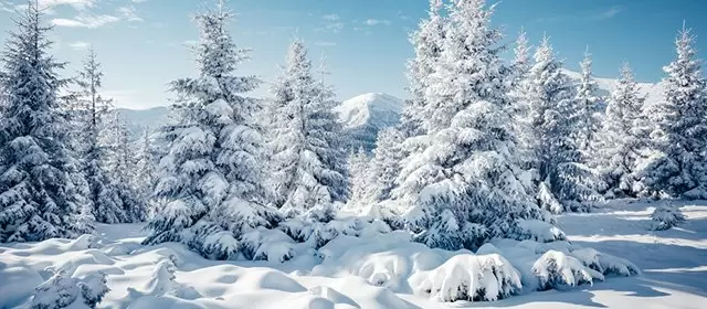 Horoscope du Samedi 24 Janvier 2026