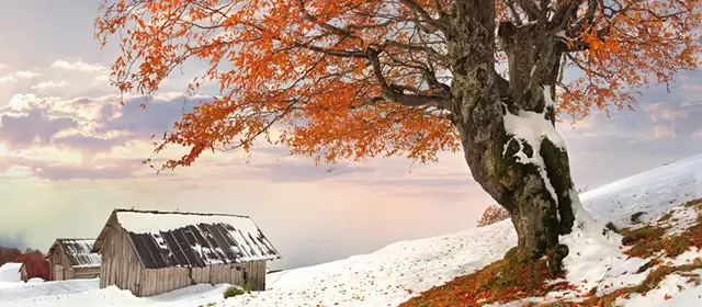 Horoscope du Samedi 31 Janvier 2026