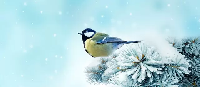 Horoscope du Lundi 2 Février 2026