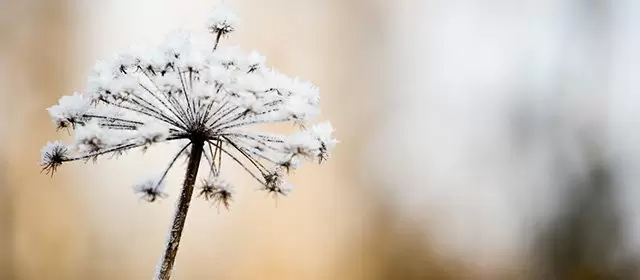 Horoscope du Mardi 3 Février 2026