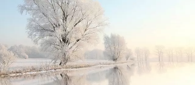 Horoscope du Mercredi 4 Février 2026