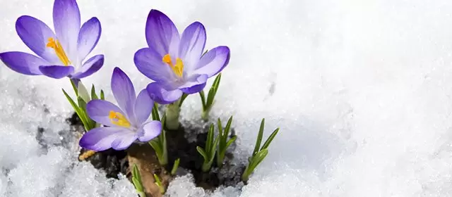 Horoscope du Jeudi 5 Février 2026