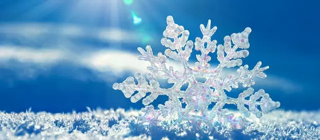 Horoscope du Samedi 7 Février 2026