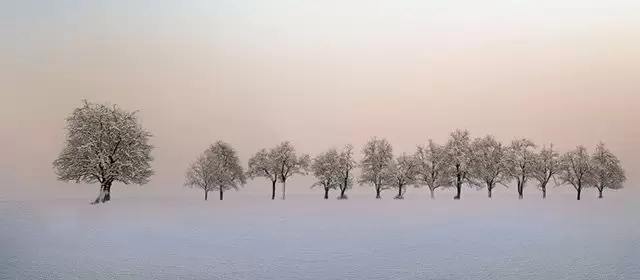 Horoscope du  Lundi 16 Février 2026