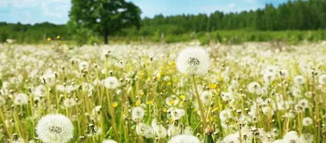 Horoscope du Mardi 3 Mars 2026