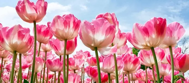 Horoscope du Samedi 7 Mars 2026