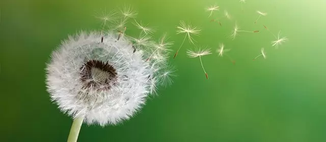 Horoscope du Mercredi 11 Mars 2026