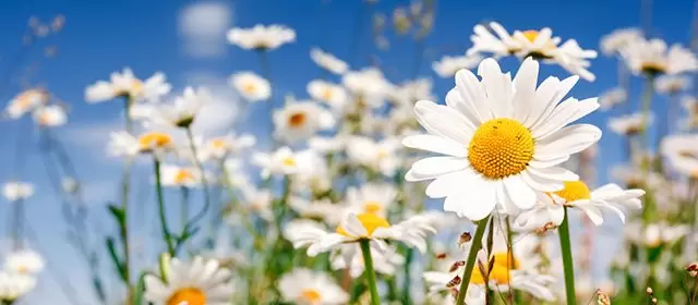 Horoscope du Dimanche 15 Mars 2026