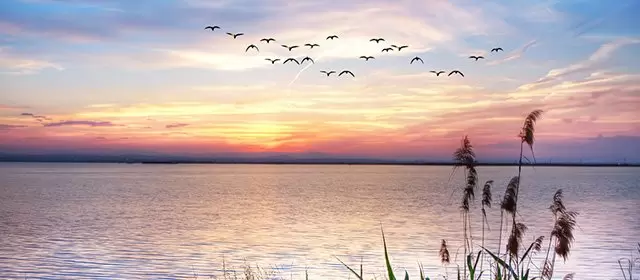 Horoscope du Lundi 16 Mars 2026