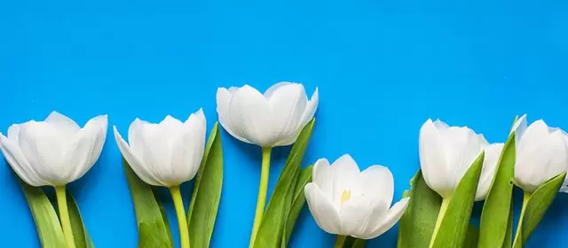 Horoscope du Mercredi 18 Mars 2026