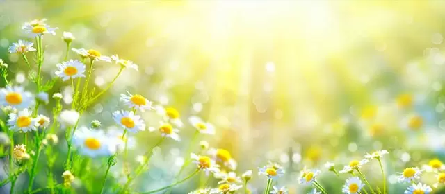 Horoscope du  Jeudi 19 Mars 2026