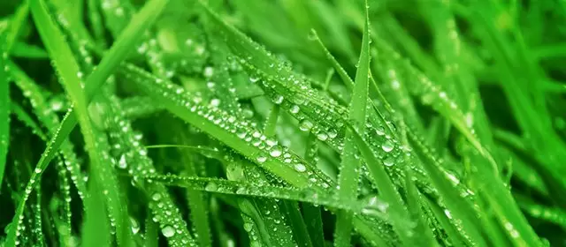 Horoscope du Vendredi 20 Mars 2026