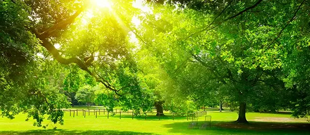 Horoscope du  Dimanche 22 Mars 2026