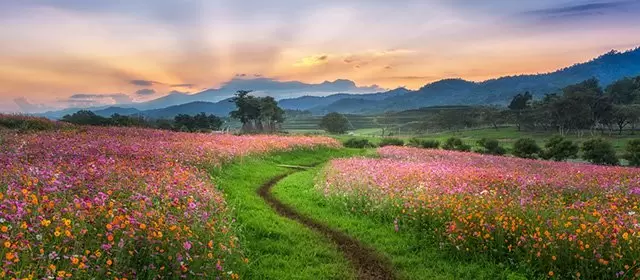 Horoscope du Jeudi 26 Mars 2026