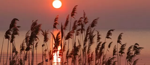 Horoscope du  Dimanche 5 Avril 2026