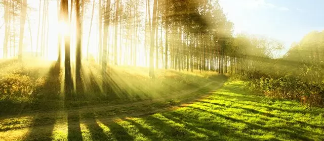 Horoscope du  Mardi 7 Avril 2026