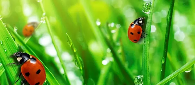 Horoscope du Dimanche 12 Avril 2026