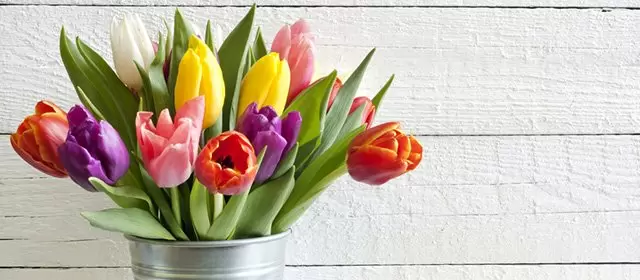 Horoscope du Mardi 14 Avril 2026