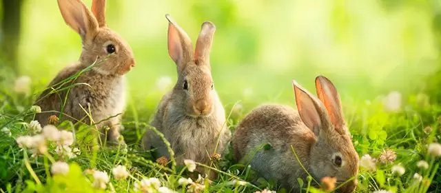 Horoscope du Mercredi 15 Avril 2026