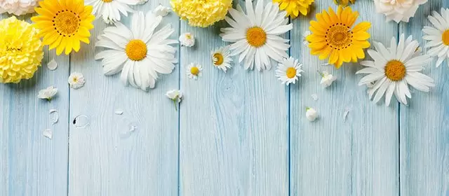 Horoscope du Dimanche 19 Avril 2026