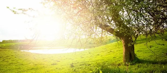 Horoscope du  Mardi 21 Avril 2026