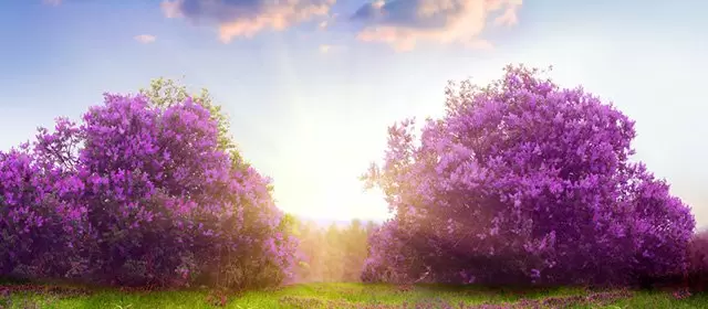 Horoscope du Mardi 28 Avril 2026