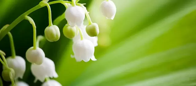 Horoscope du  Samedi 2 Mai 2026