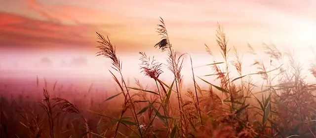 Horoscope du  Mardi 5 Mai 2026