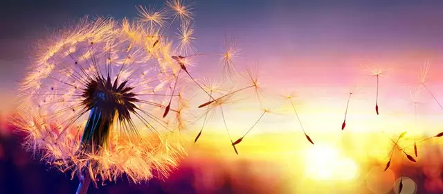 Horoscope du Lundi 25 Mai 2026