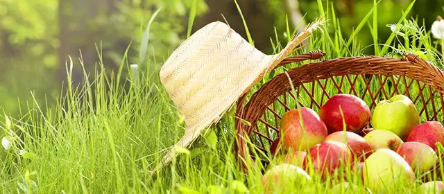 Horoscope du Mardi 9 Juin 2026