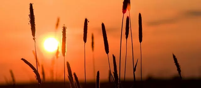 Horoscope du Dimanche 14 Juin 2026