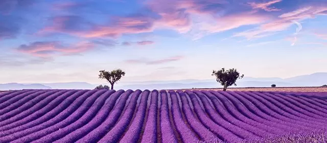 Horoscope du Vendredi 24 Juillet 2026