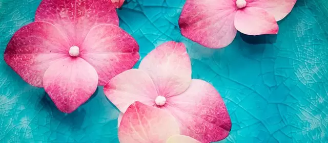 Horoscope du Vendredi 7 Août 2026