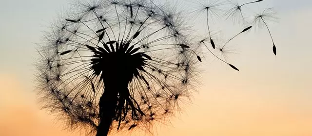 Horoscope du Jeudi 13 Août 2026