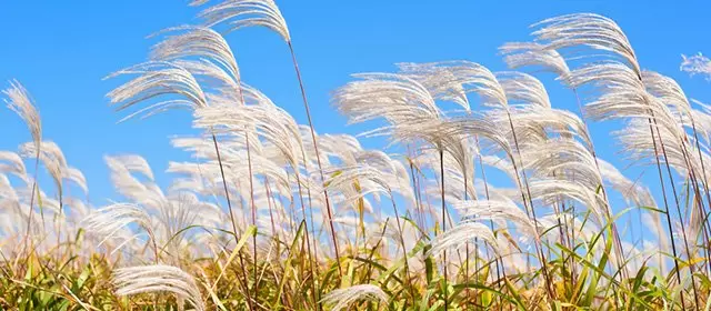 Horoscope du Samedi 27 Septembre 2025