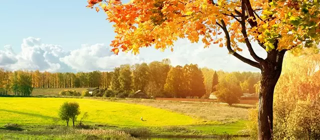 Horoscope du Vendredi 3 Octobre 2025