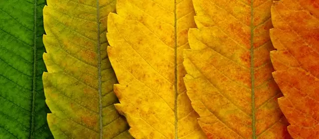 Horoscope du Samedi 4 Octobre 2025