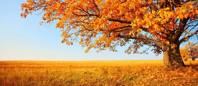 Horoscope du Vendredi 9 Octobre 2026