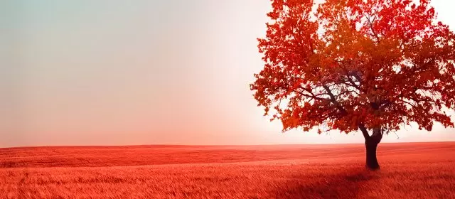 Horoscope du Vendredi 17 Octobre 2025