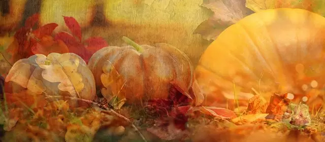 Horoscope du Vendredi 31 Octobre 2025