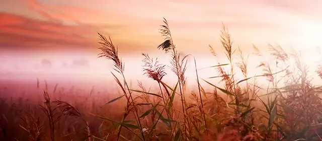 Horoscope du Mardi 4 Novembre 2025