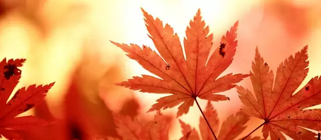 Horoscope du Samedi 8 Novembre 2025