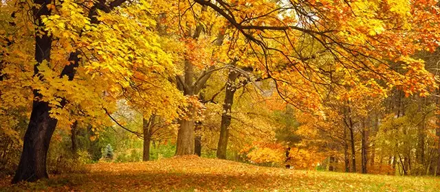 Horoscope du Lundi 10 Novembre 2025