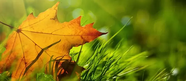 Horoscope du Mardi 11 Novembre 2025