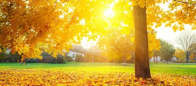 Horoscope du  Mercredi 12 Novembre 2025