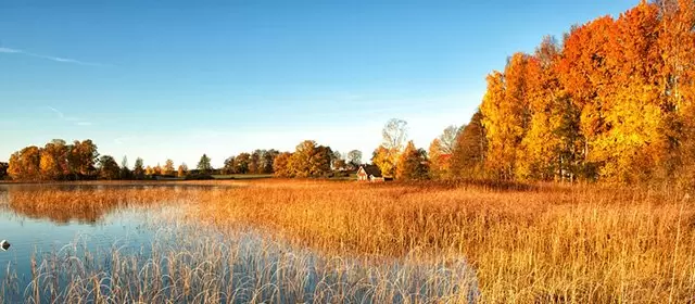 Horoscope du Jeudi 13 Novembre 2025