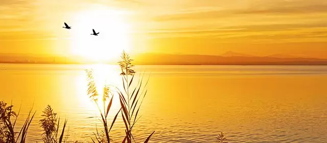 Horoscope du Vendredi 14 Novembre 2025